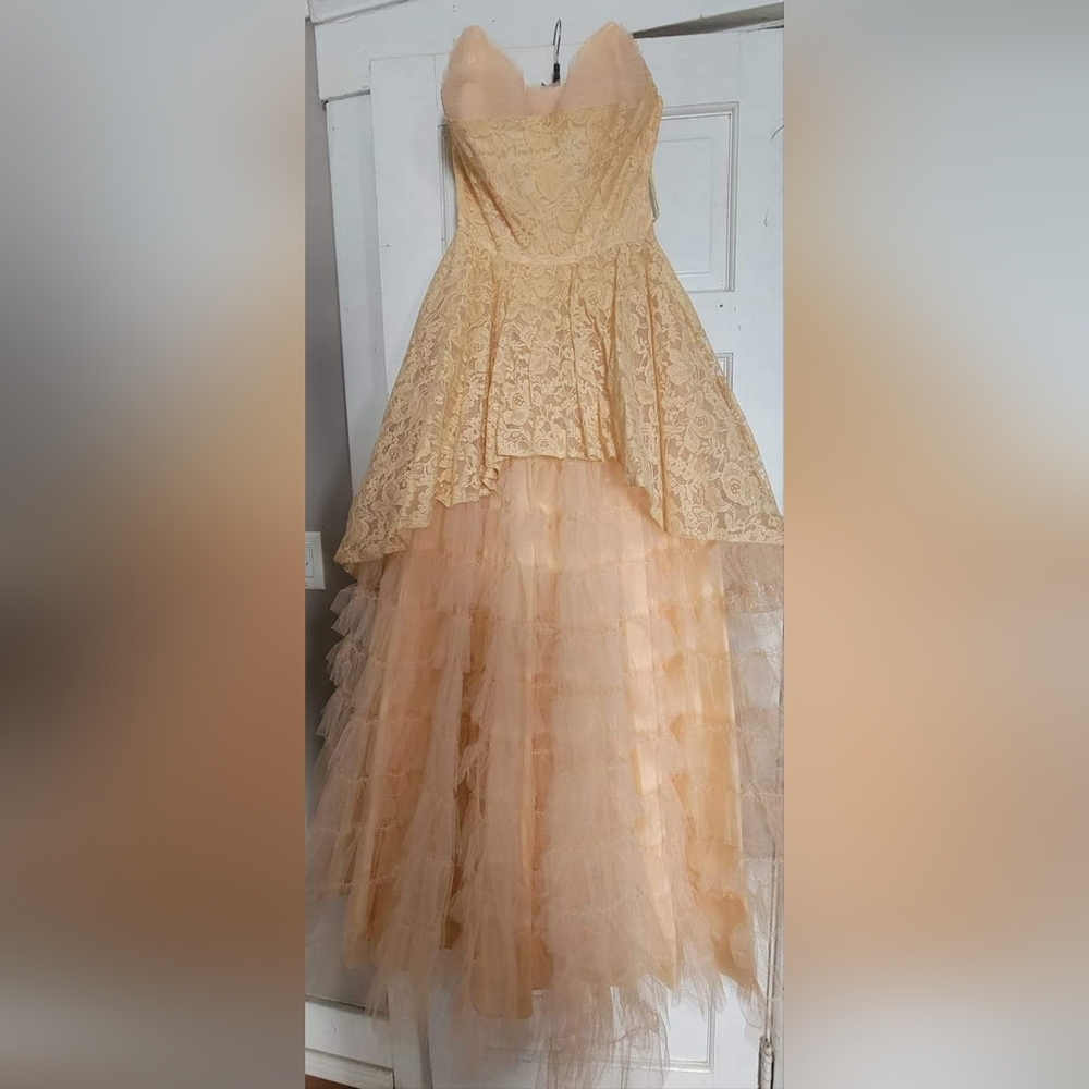 Vintage Tulle Dress